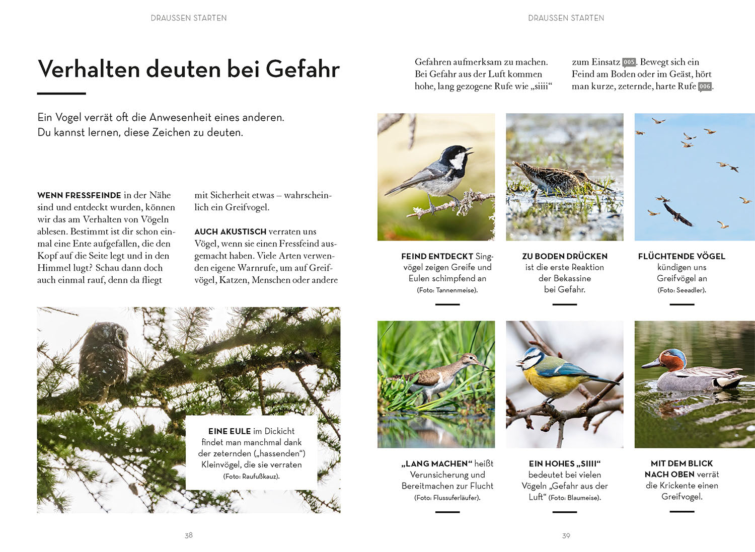 Vögel beobachten