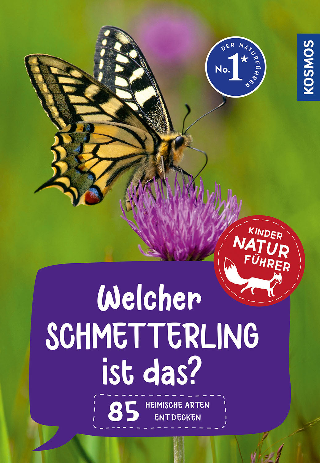What butterfly is this? Children's nature guide