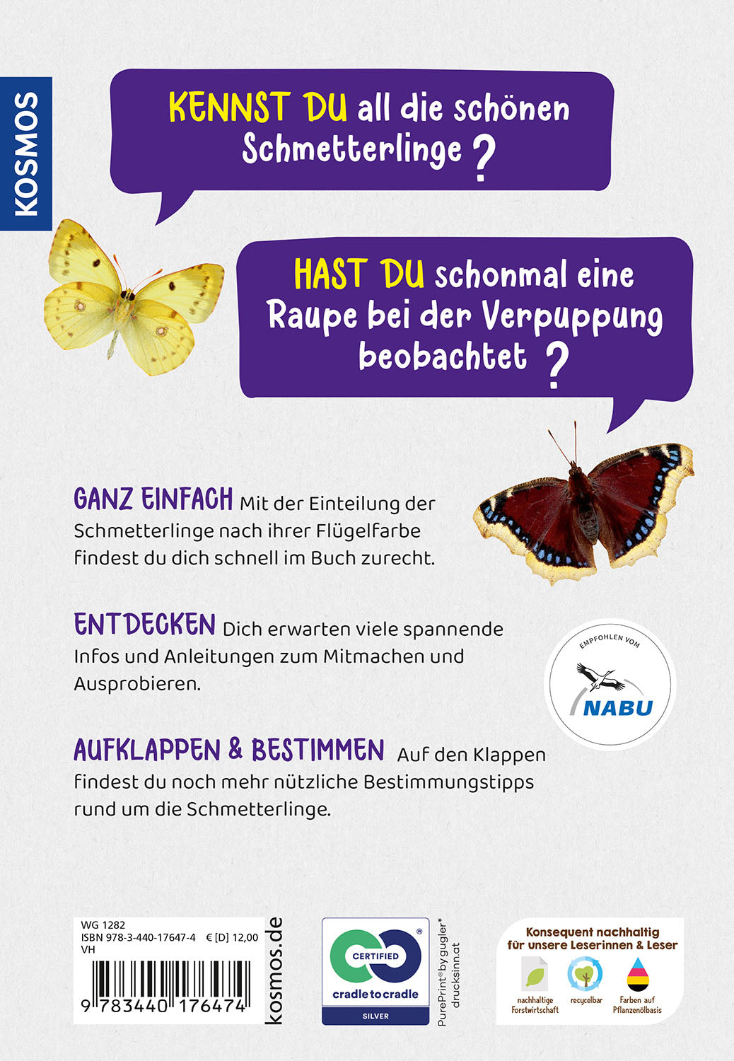 Which butterfly is this? Children's Nature Guide