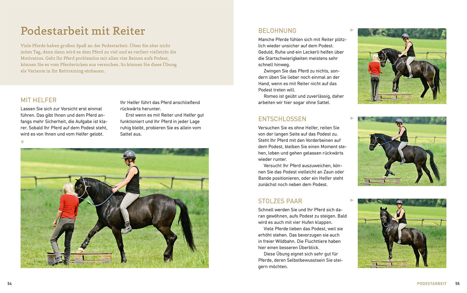 Zirkustricks mit Pferden