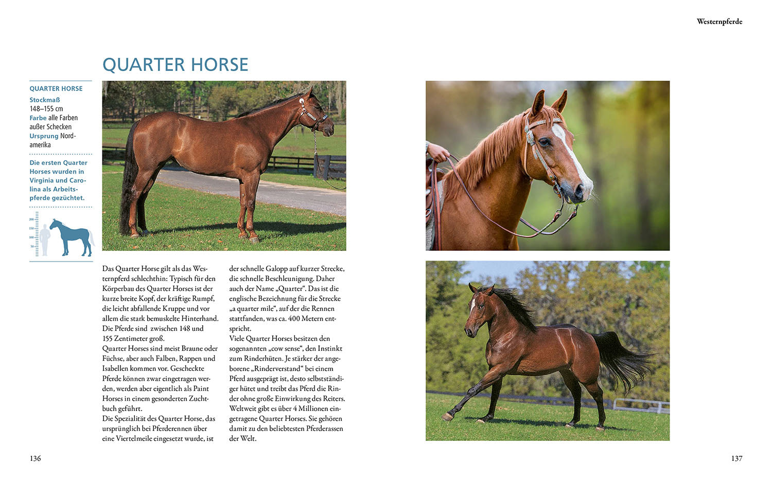 Horse breeds