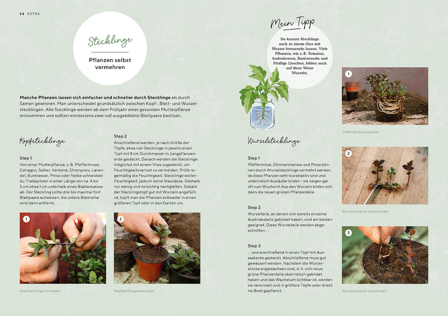 Organic gardening