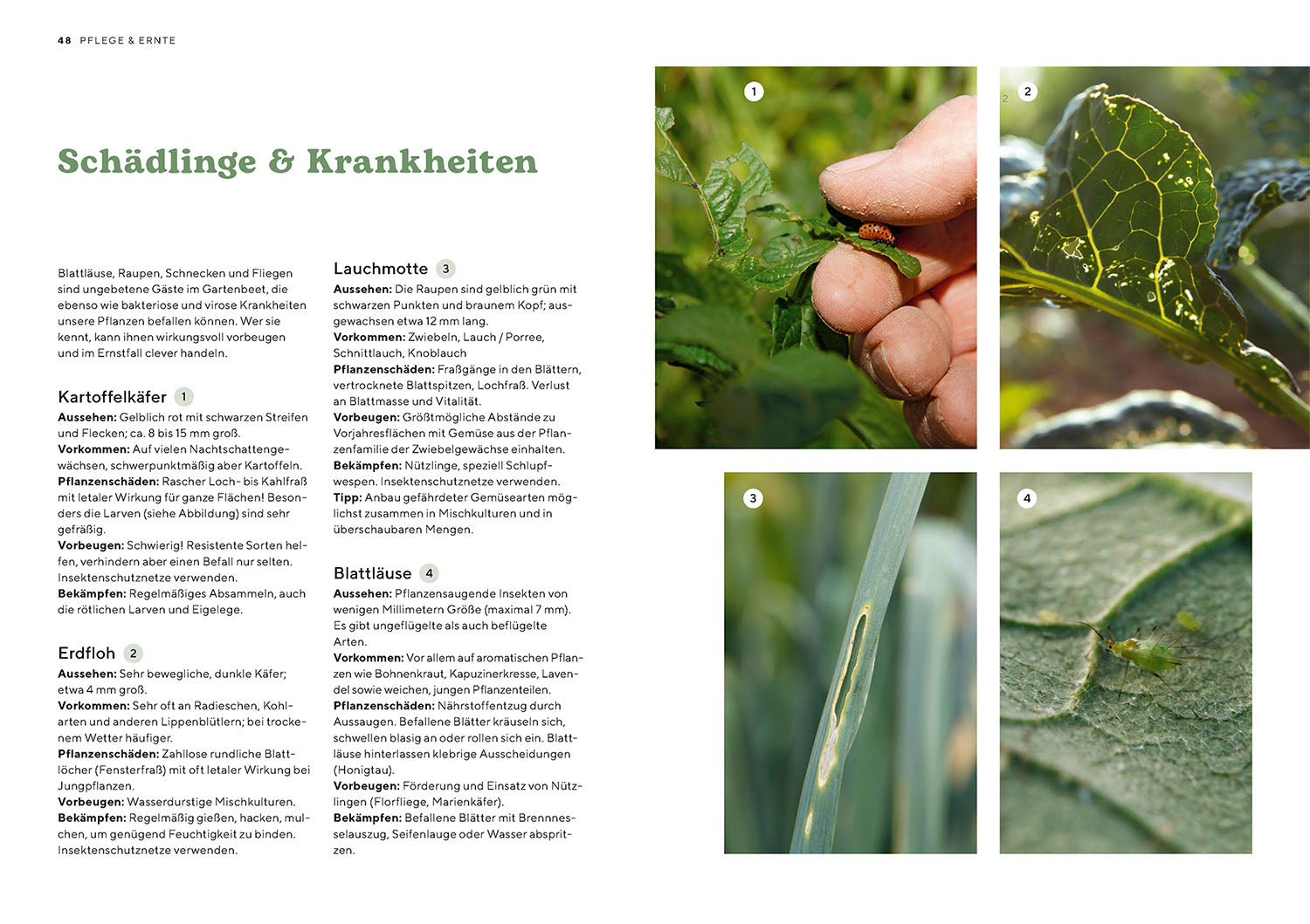 Organic gardening