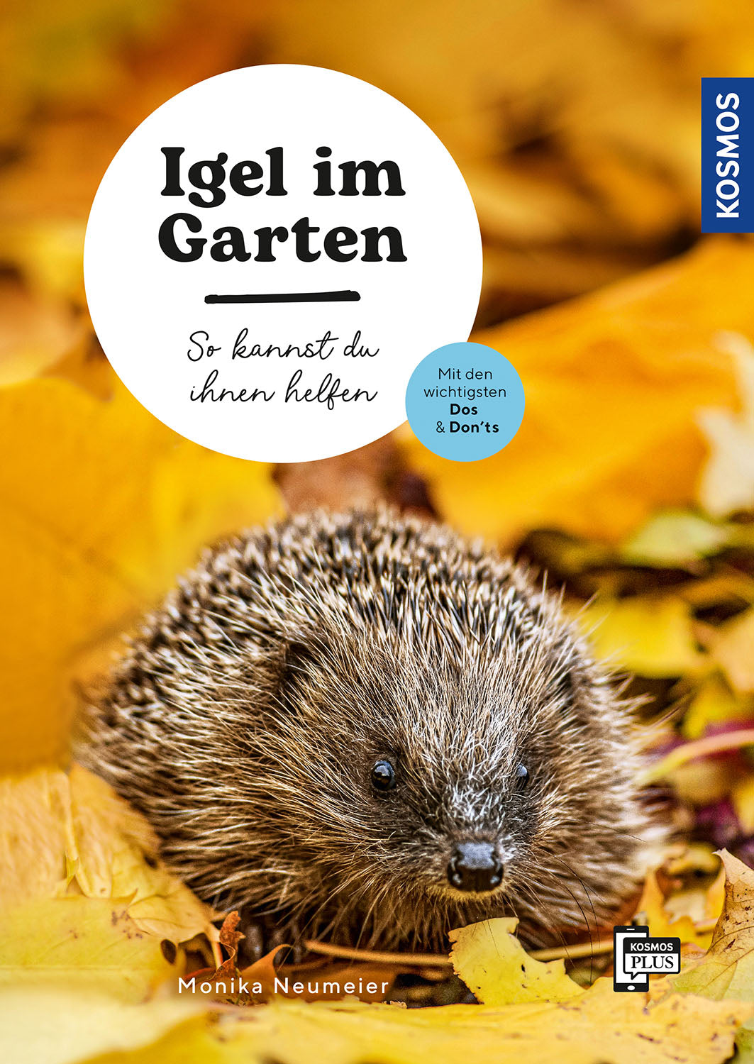 Hedgehogs in the garden