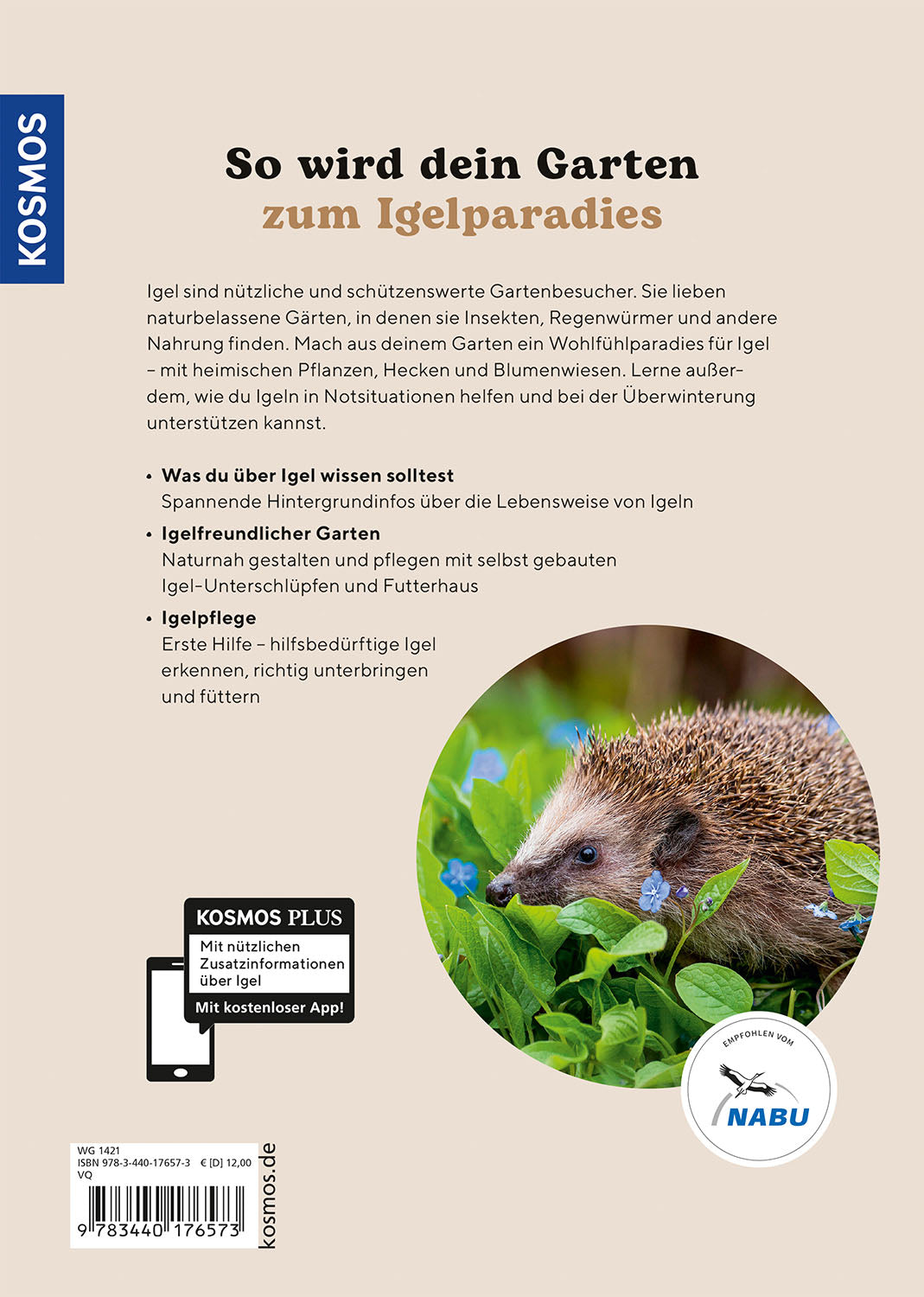Hedgehogs in the Garden