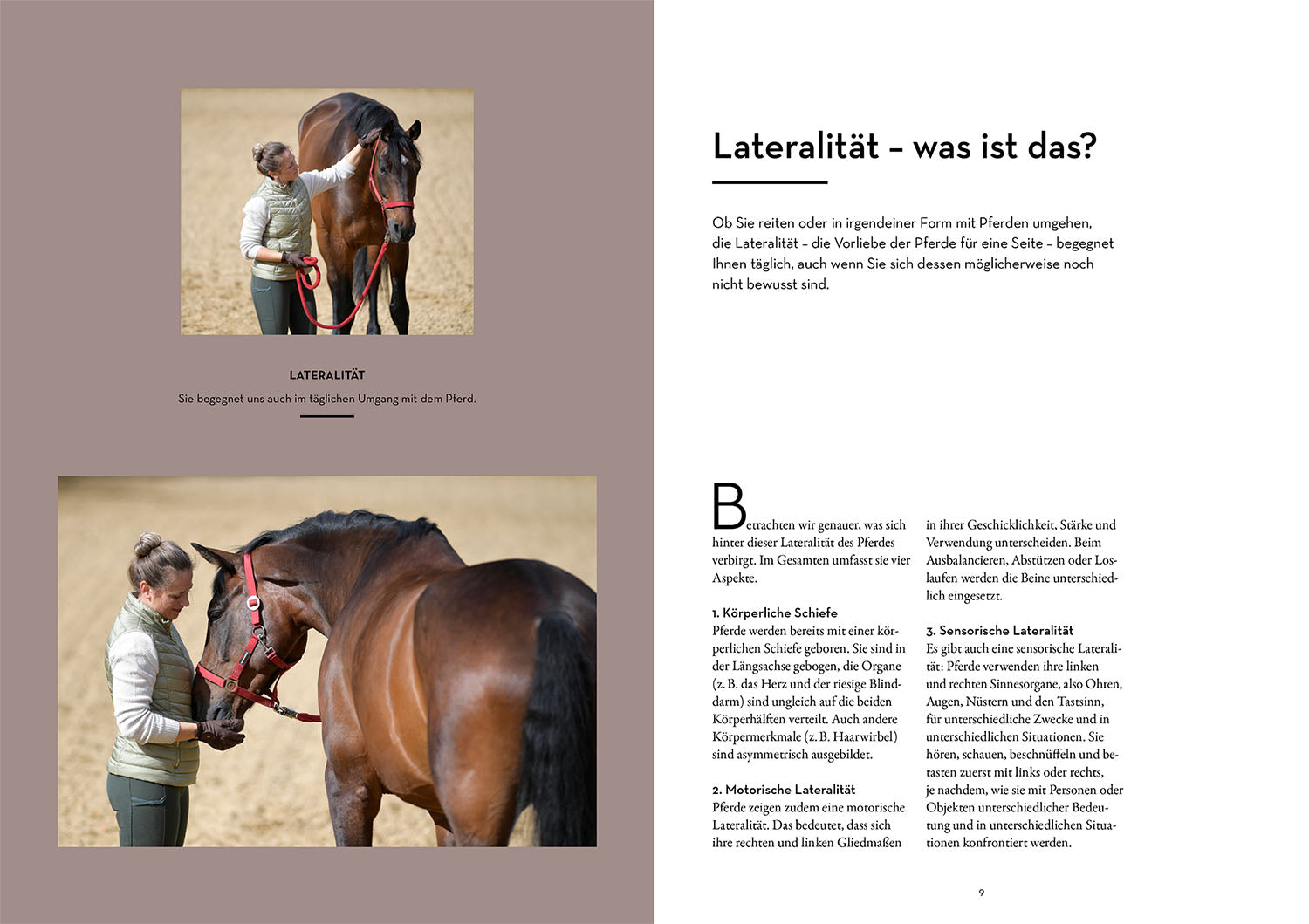 Lateralität bei Pferden