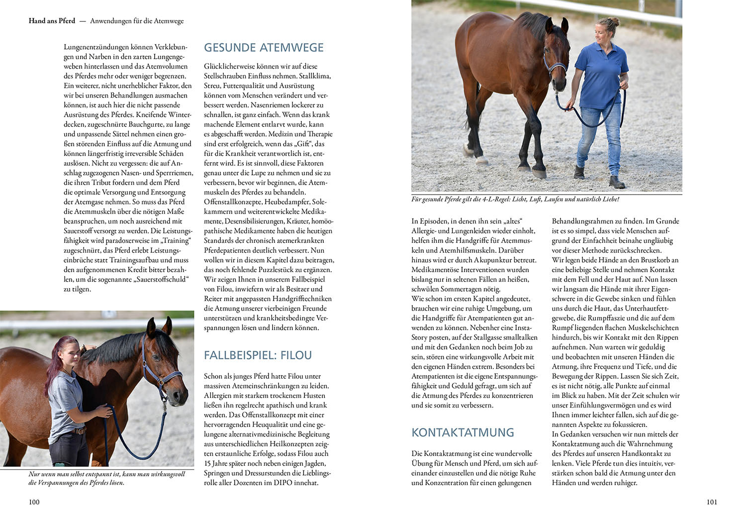Practical Guide to Physiotherapy Techniques for Horses