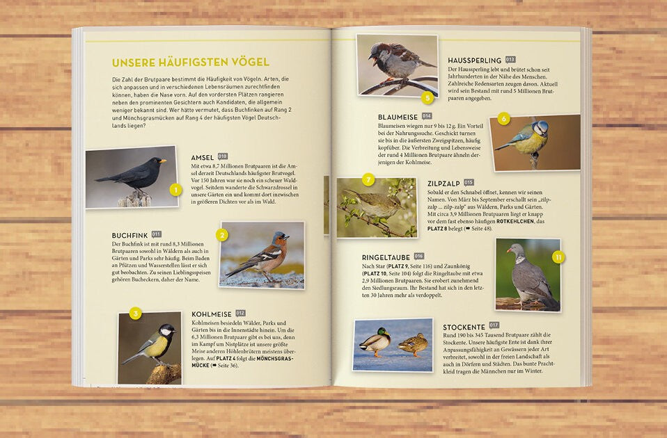 Deutschlands häufigste Vögel