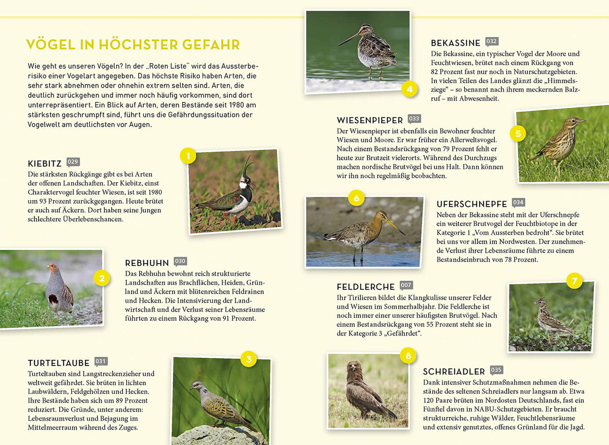 Lieblingsvögel