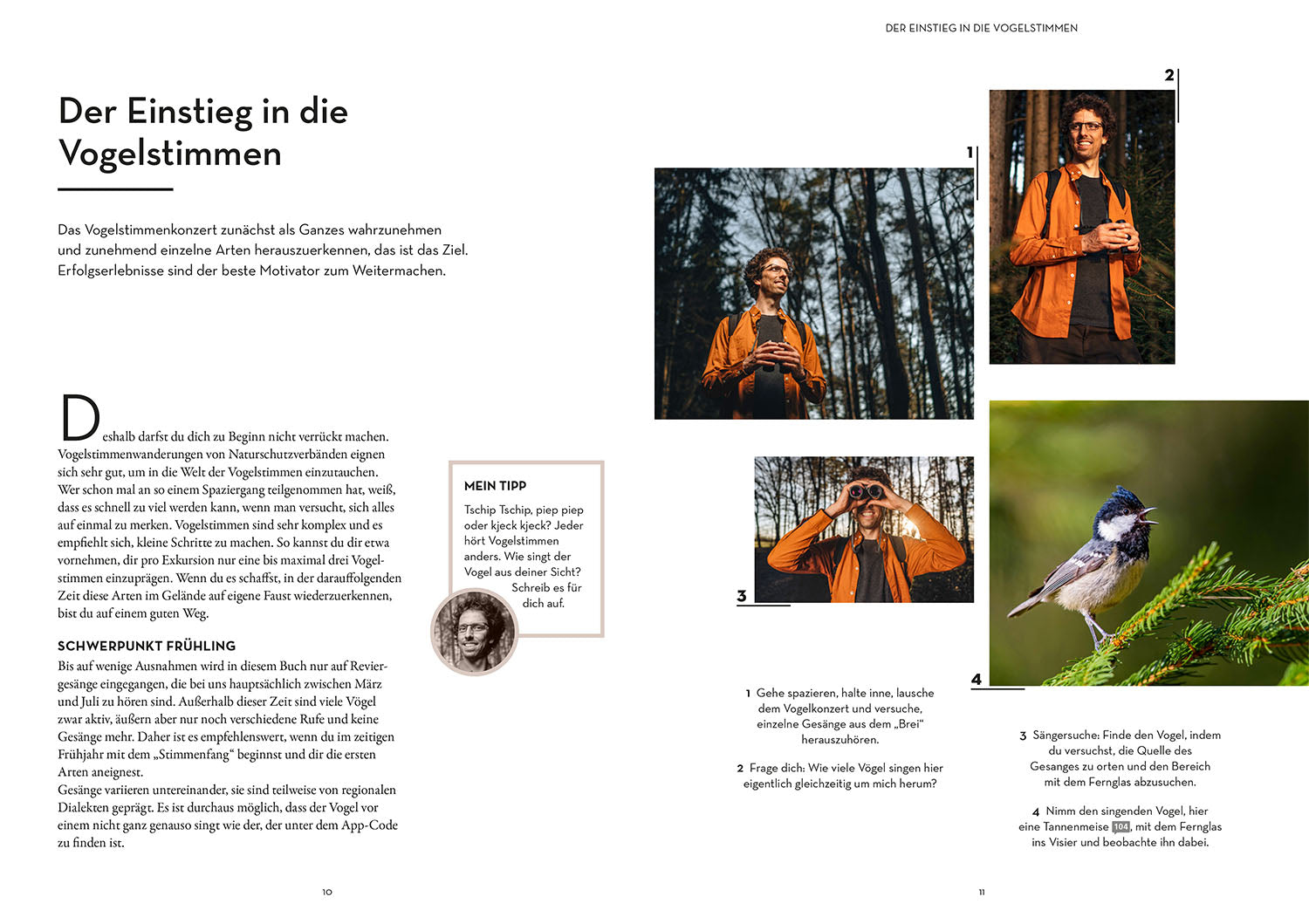 Identifying birds by their calls