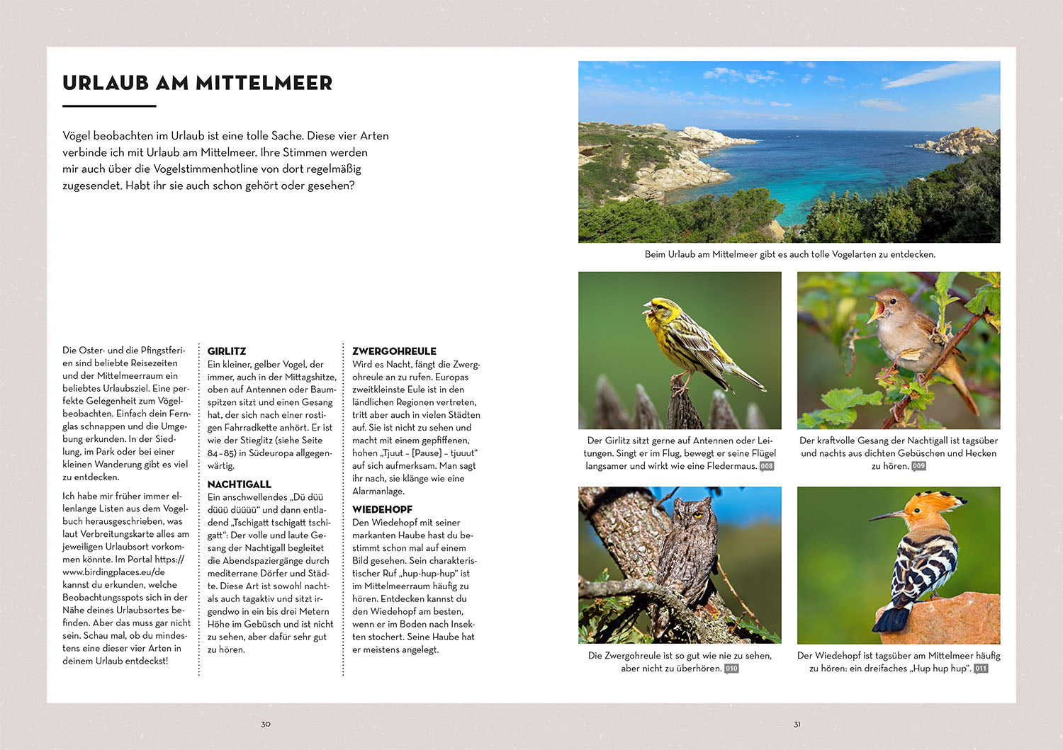 Vögel bestimmen mit den Ohren