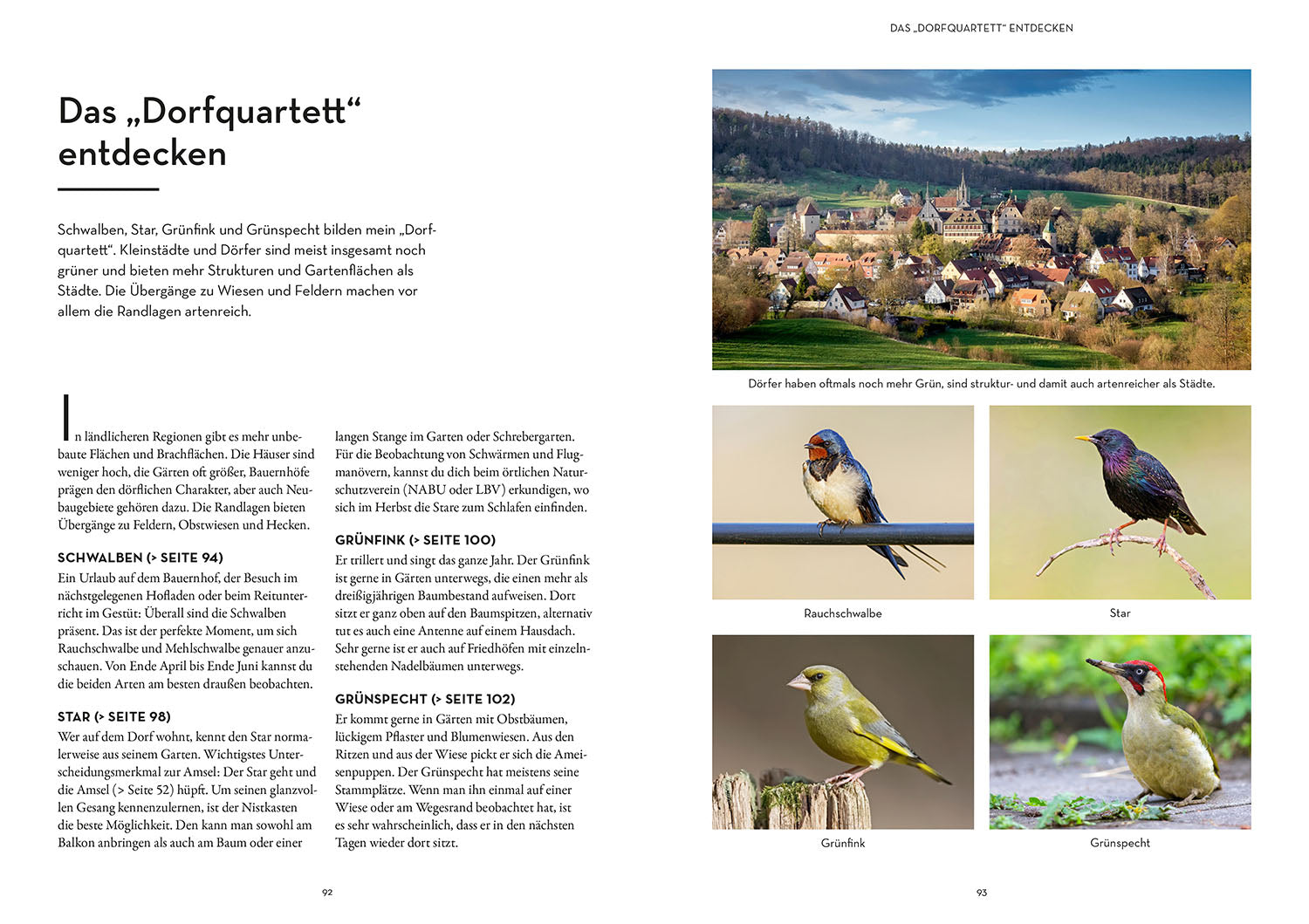 Vögel bestimmen mit den Ohren