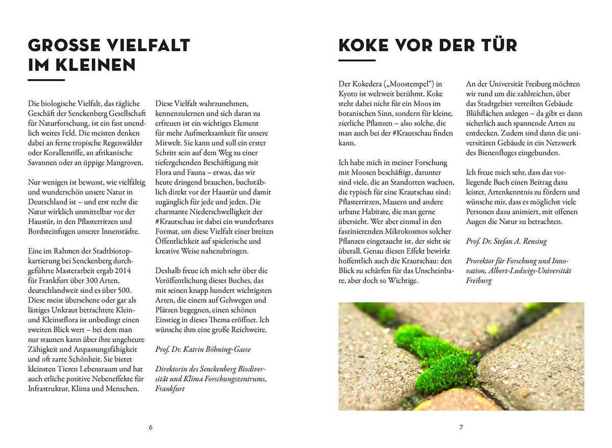 Das wächst in deiner Stadt