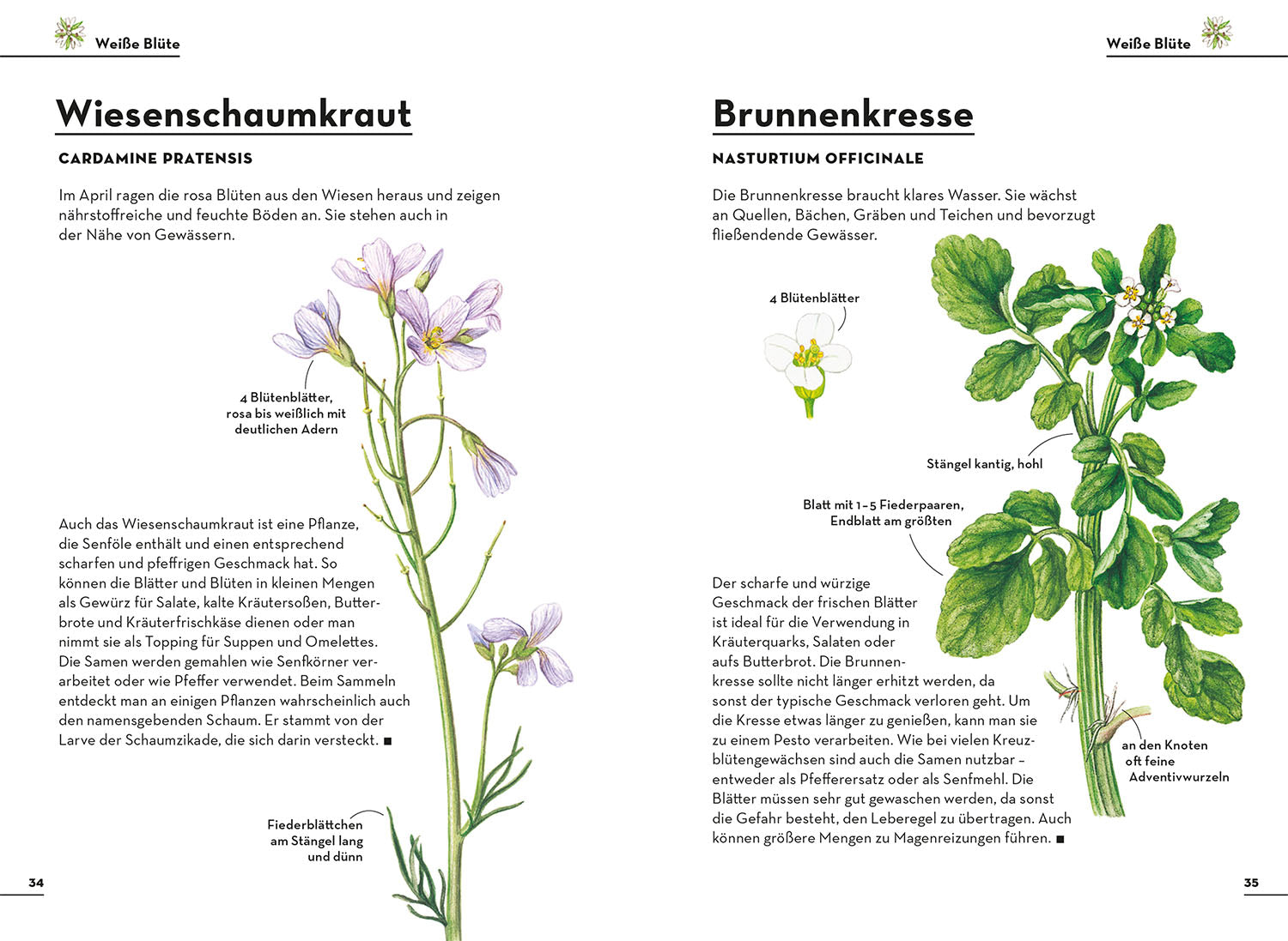 Simply Edible
