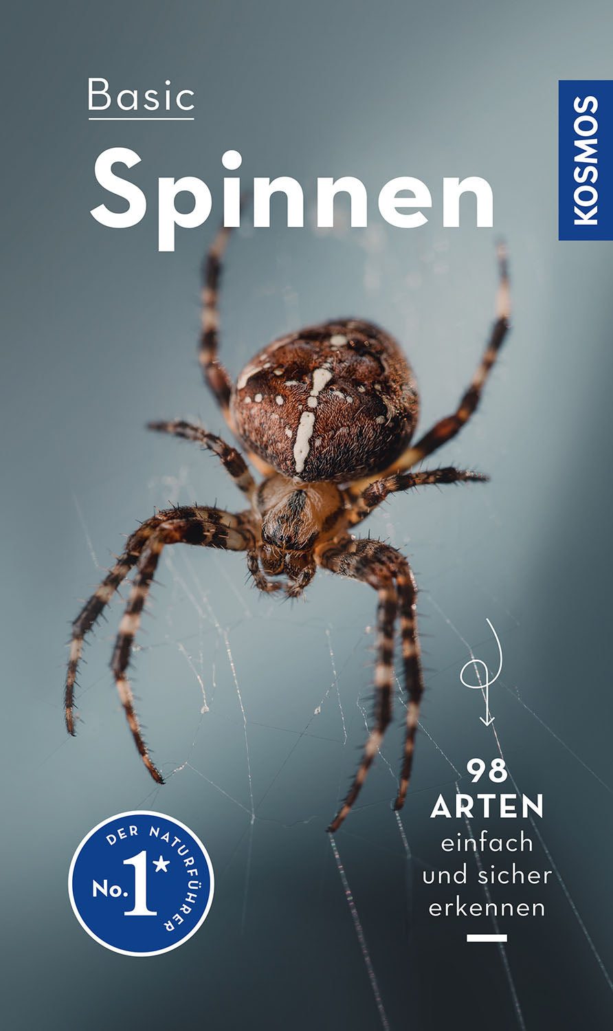 Basic Spiders