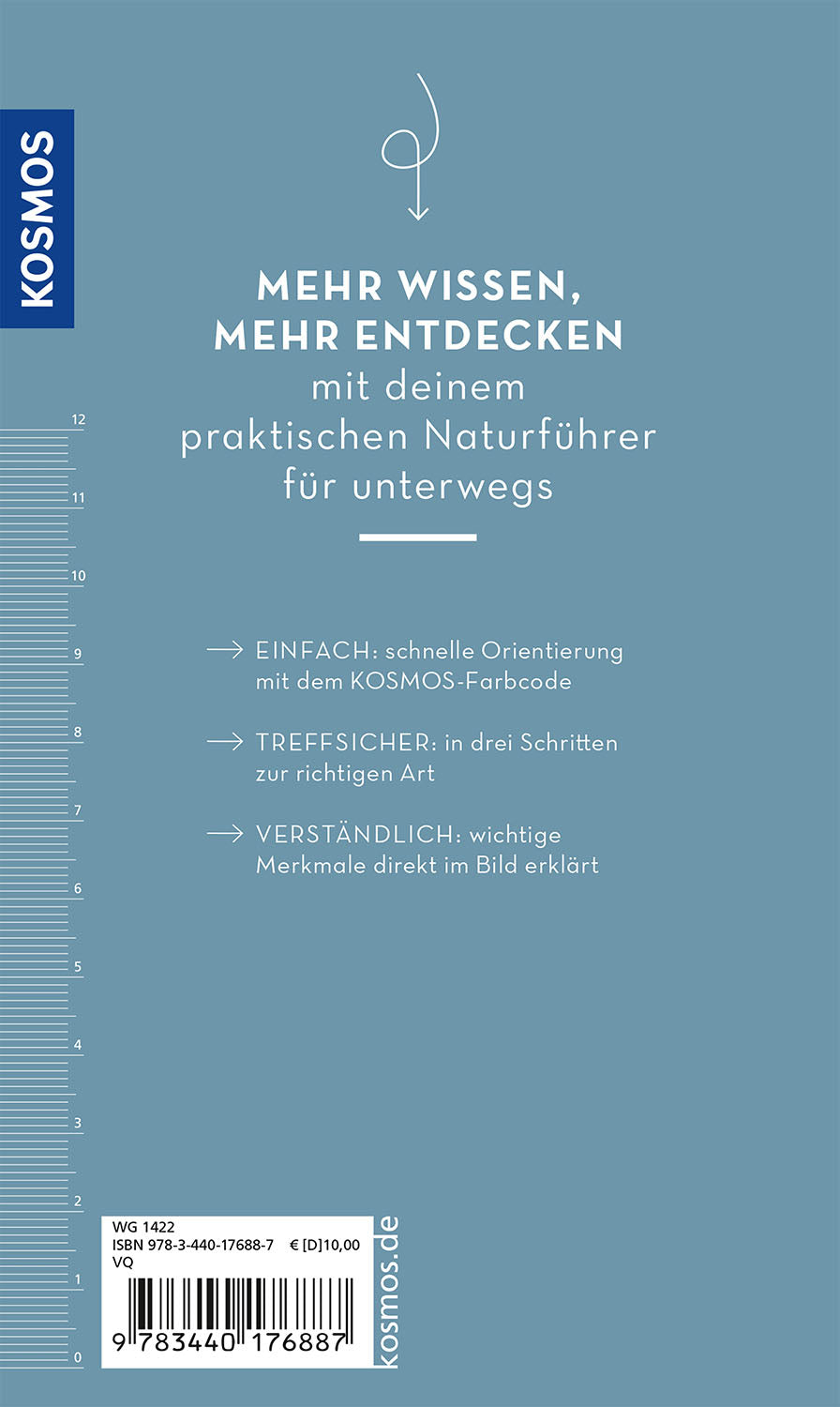 Basic Strand und Küste