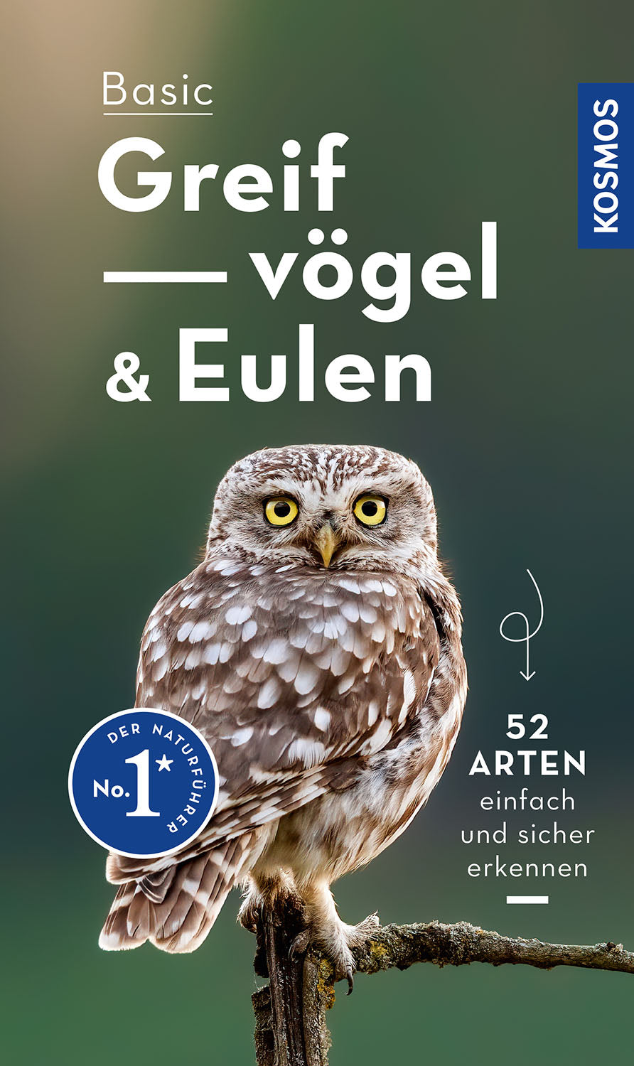 Basic Eulen Greifvögel