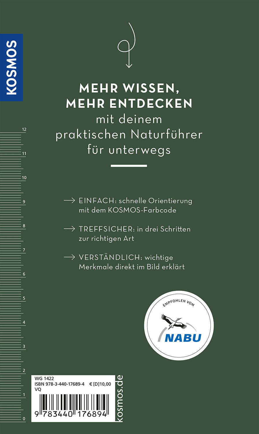 Basic Greifvögel und Eulen