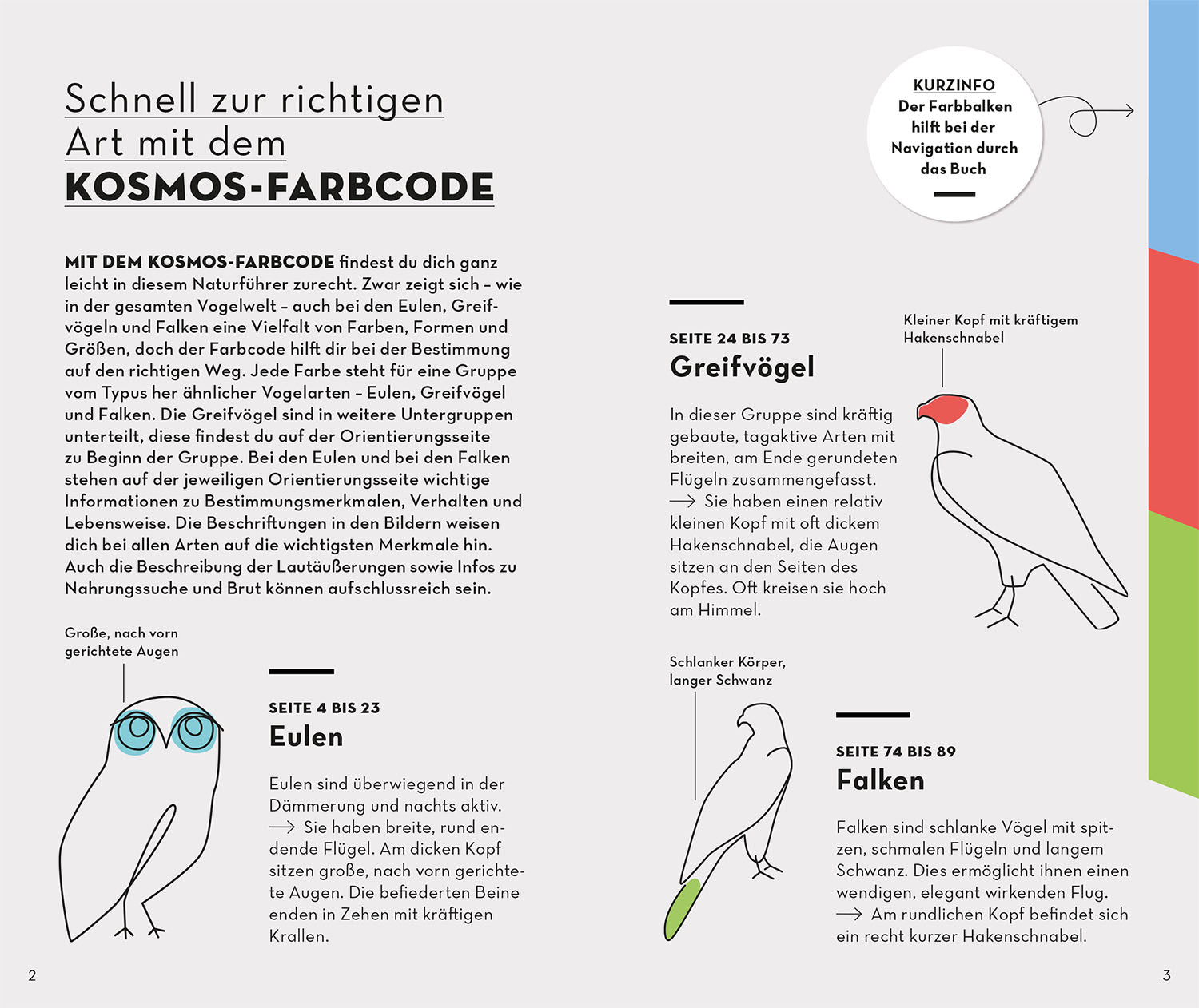 Basic Birds of Prey and Owls
