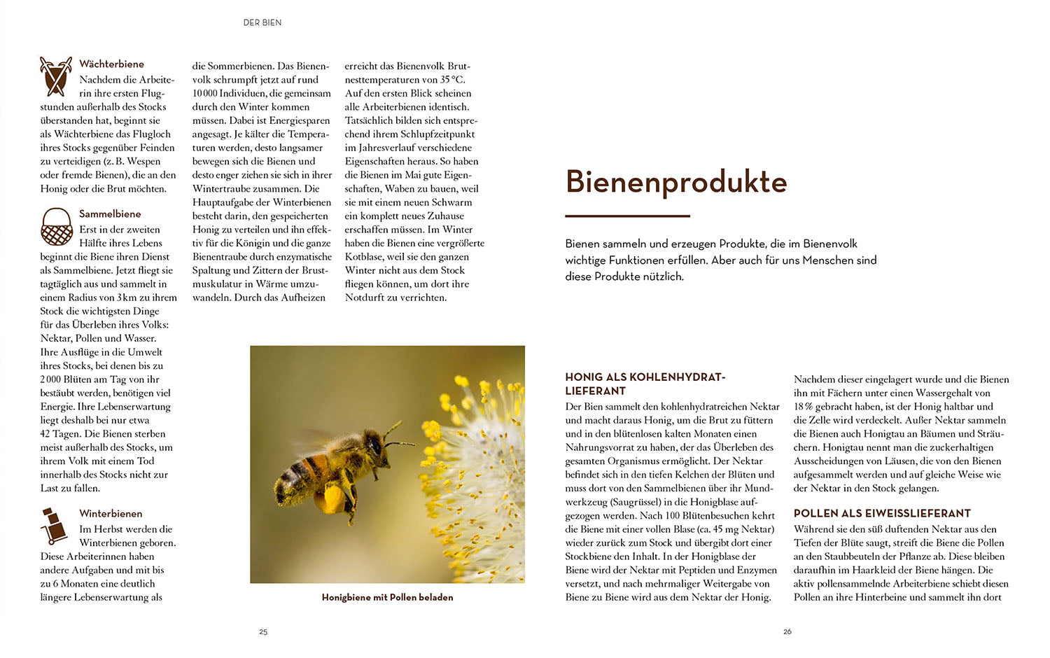 Keeping bees with the BienenBox