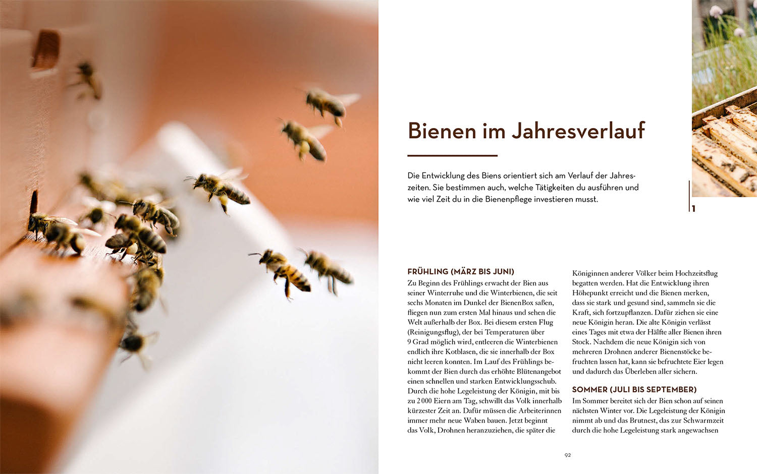 Keeping bees with the BienenBox