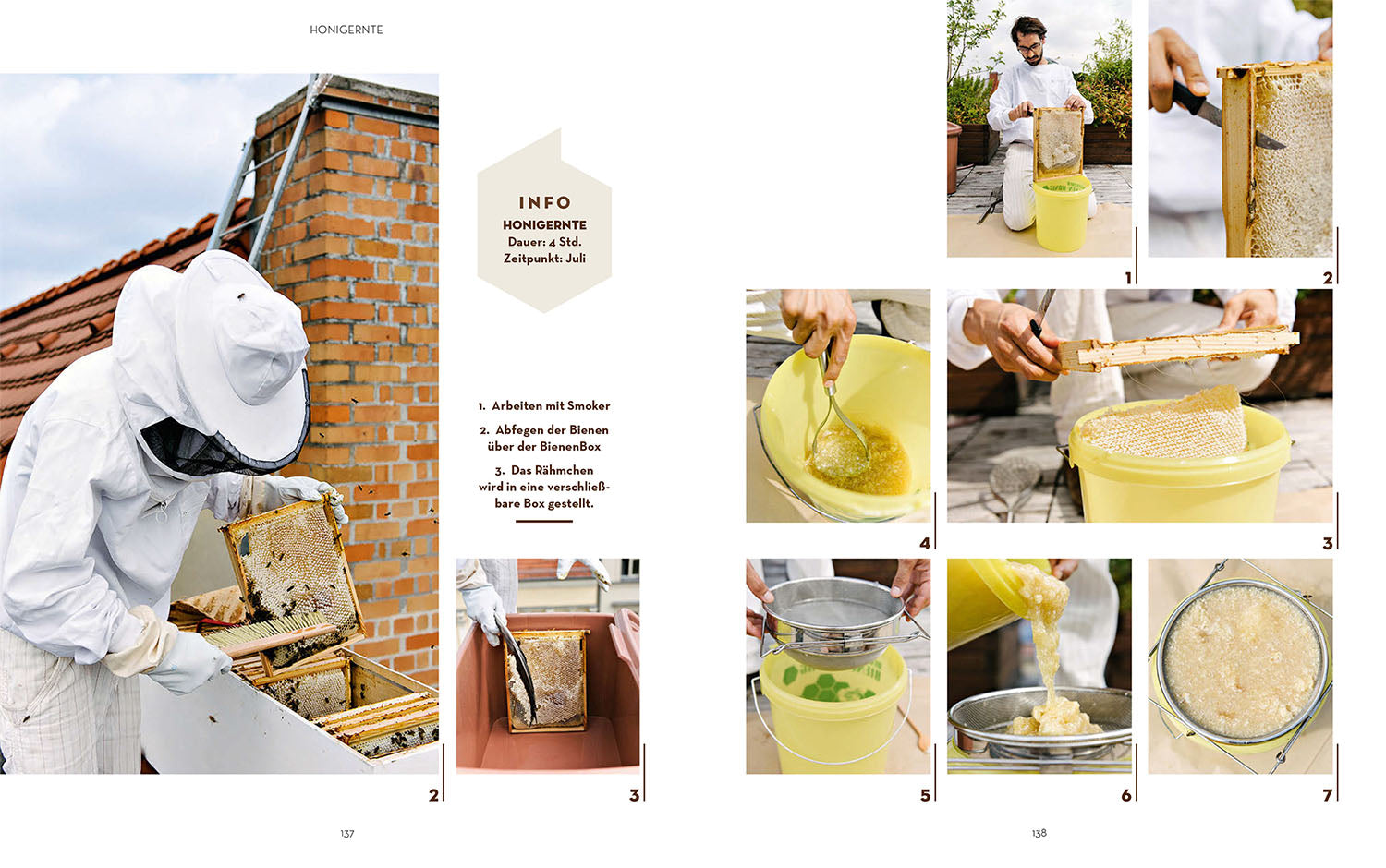 Keeping bees with the BienenBox