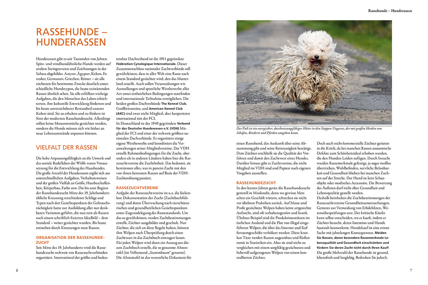 The KOSMOS Dog Guide
