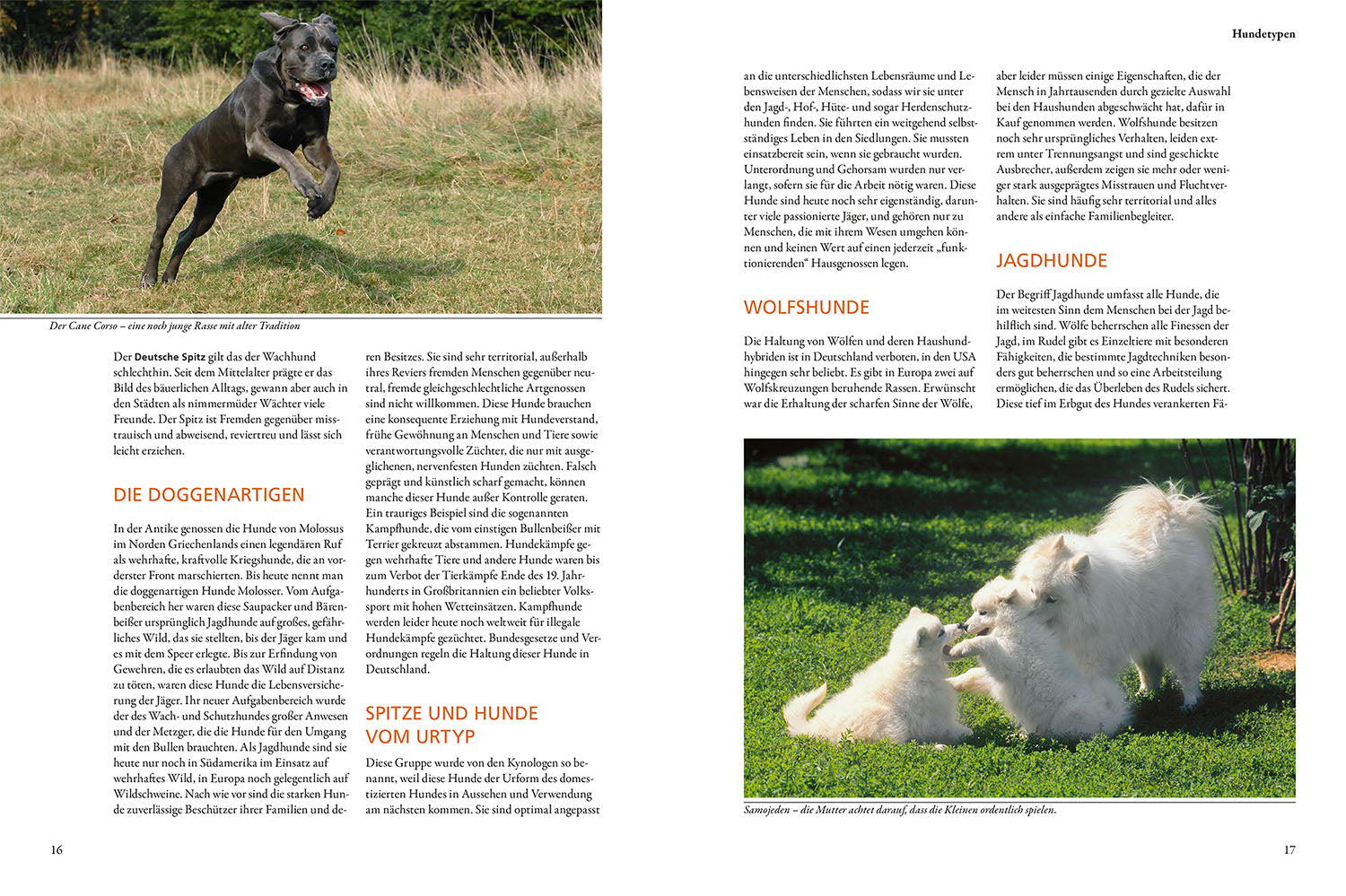 The KOSMOS Dog Guide