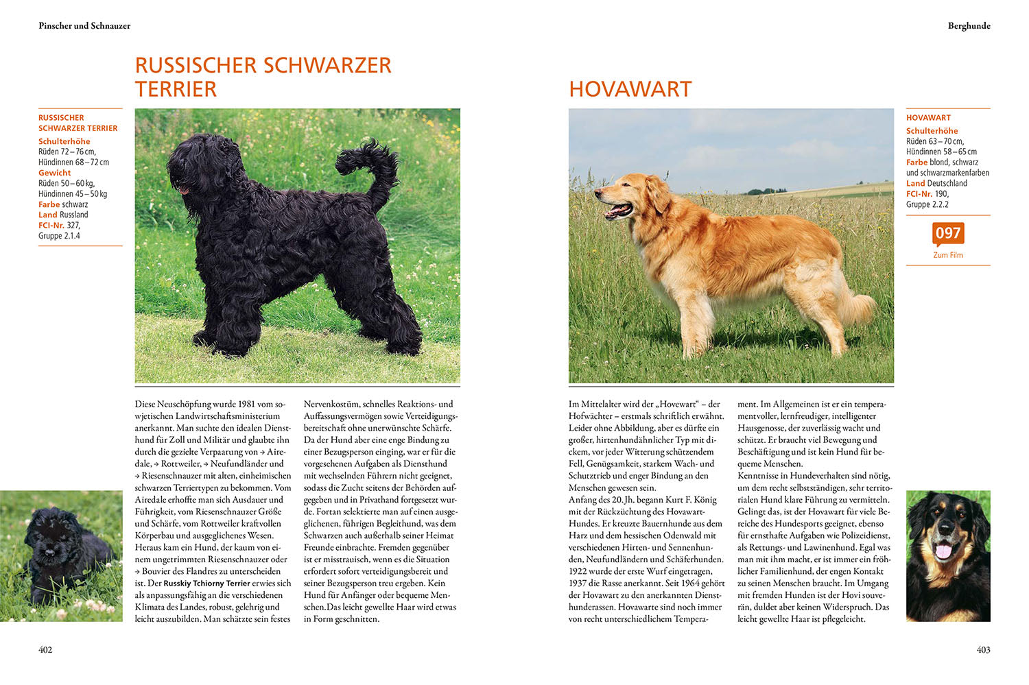 The KOSMOS Dog Guide