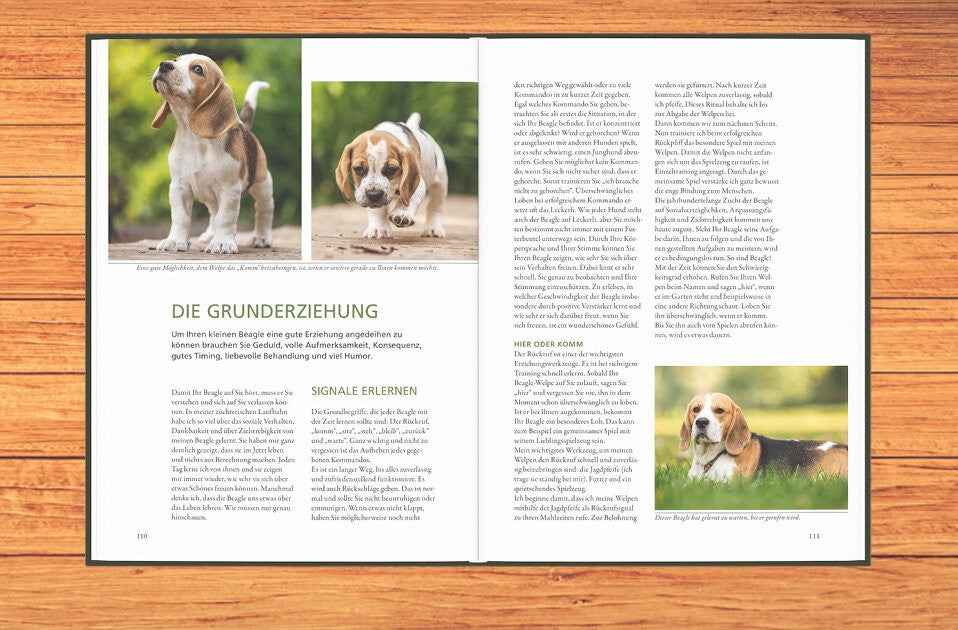Die Grunderziehung