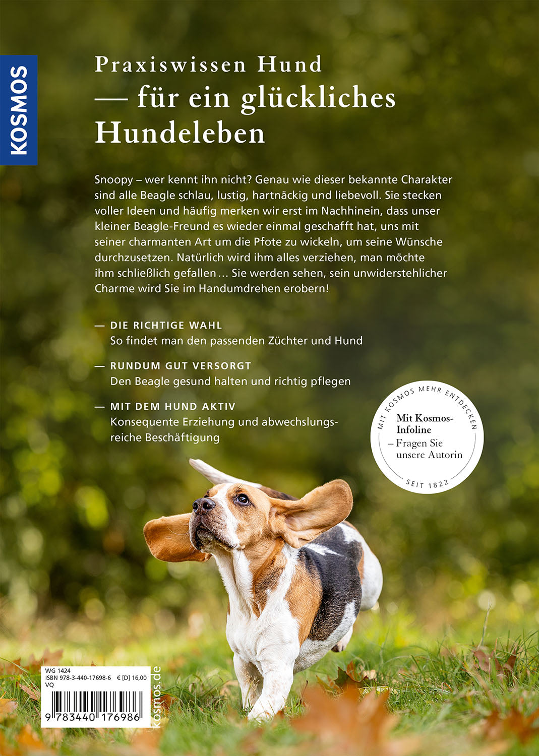 Beagle