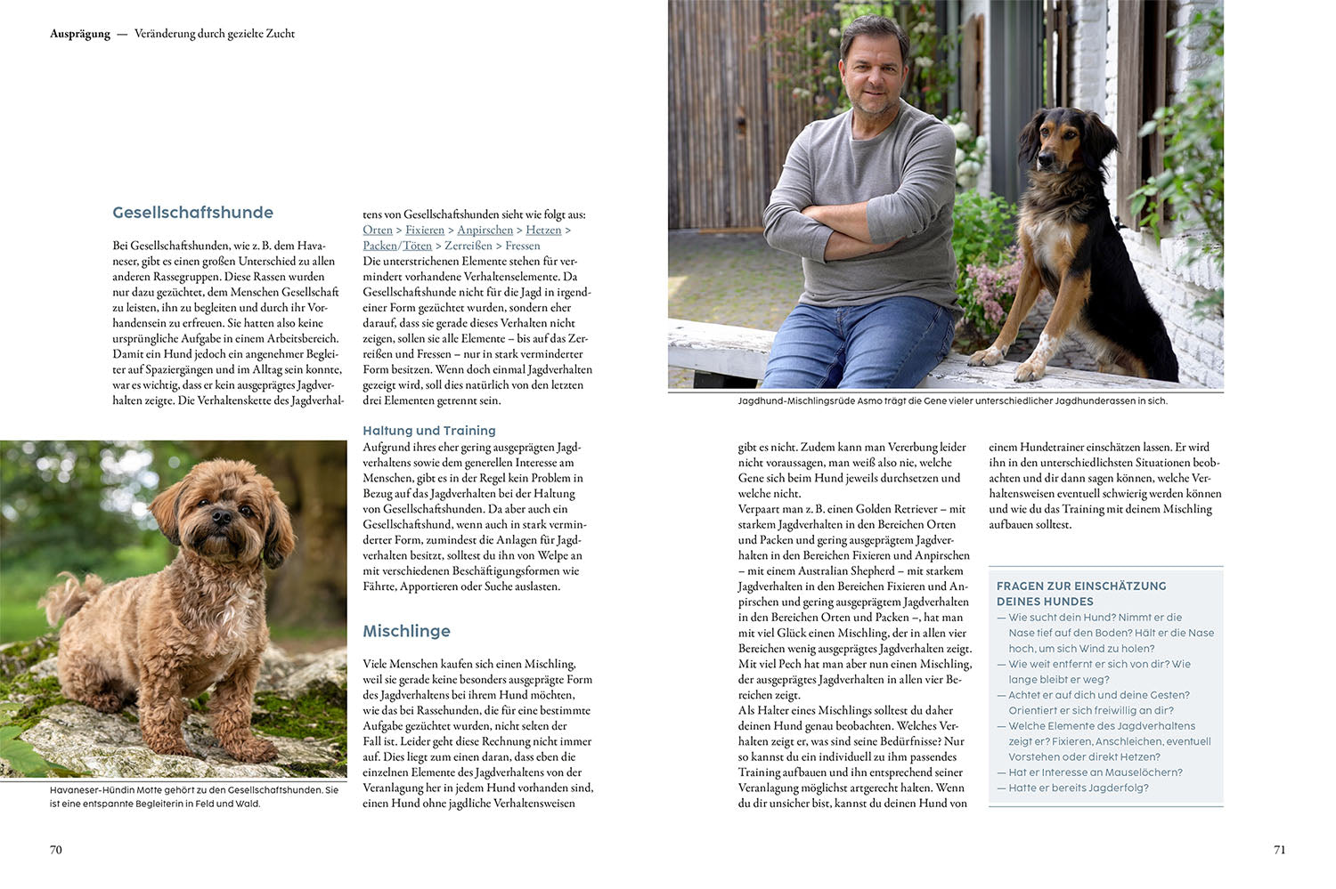 Jagdverhalten bei Hunden