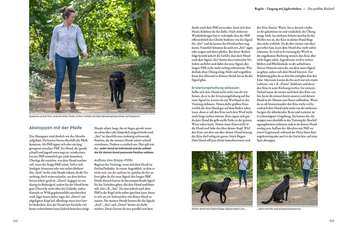 Jagdverhalten bei Hunden