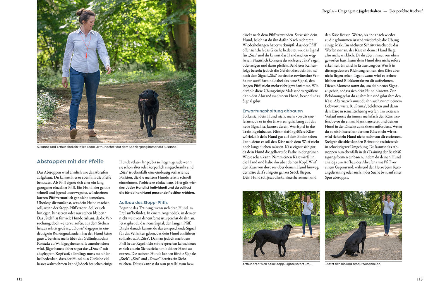 Jagdverhalten bei Hunden