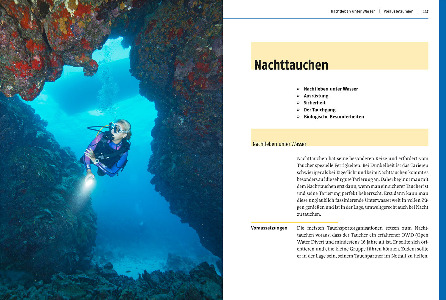 Modern Diving