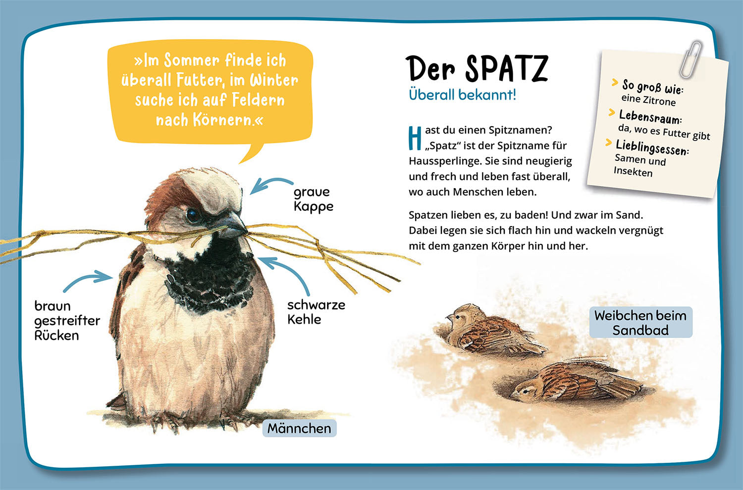 Mein erster Naturführer, Was fliegt denn da?