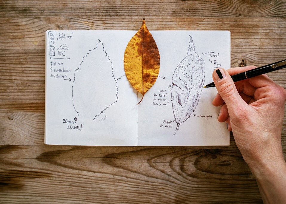 So startest du dein Nature-Journaling-Abenteuer