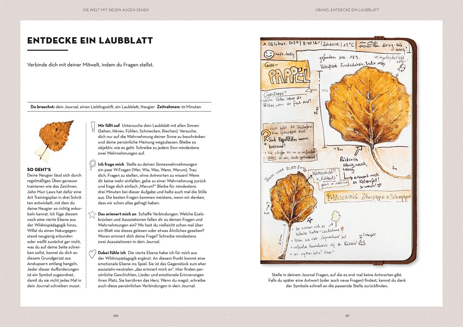 Nature Journaling