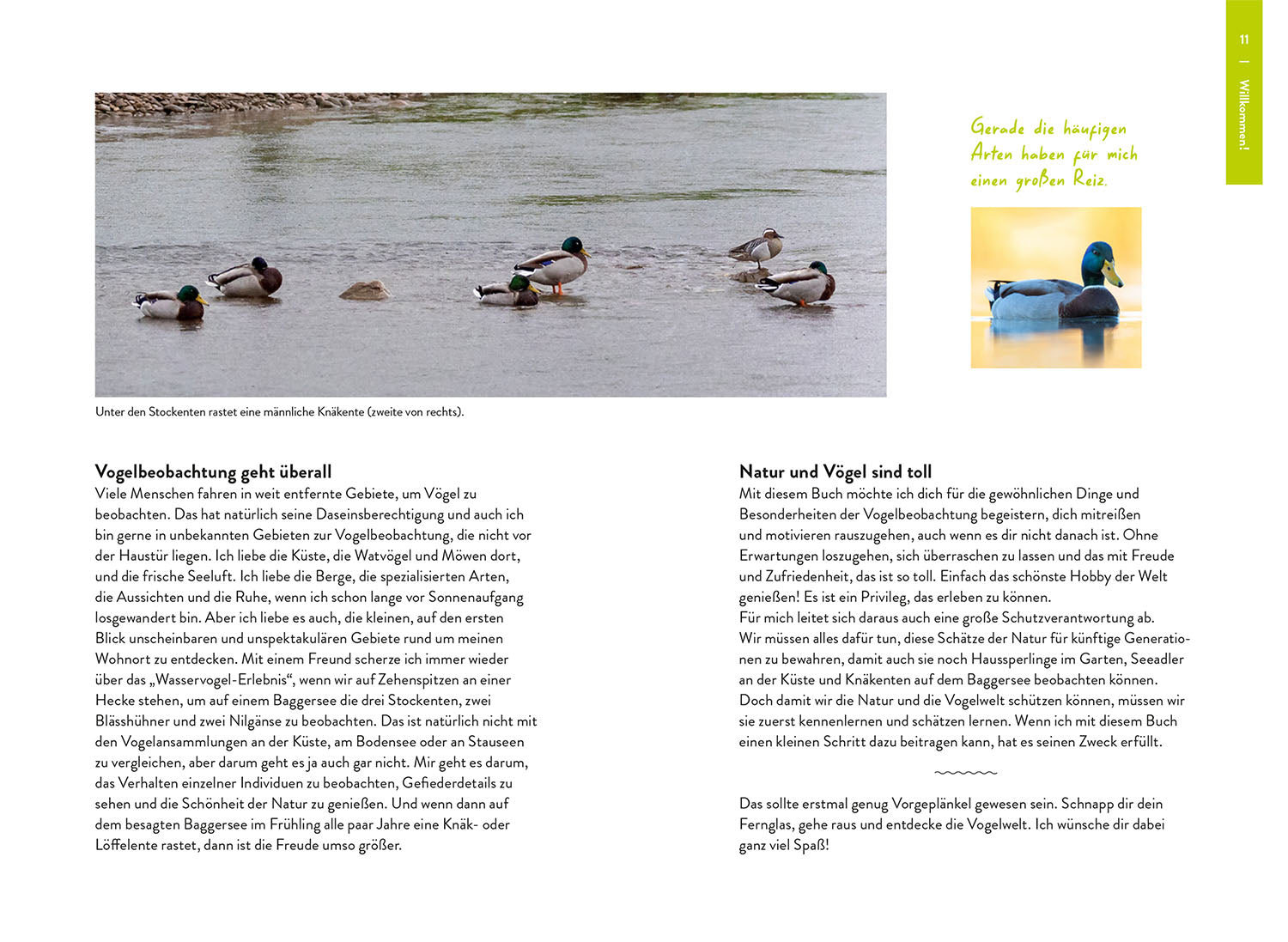Nature Guide Vögel