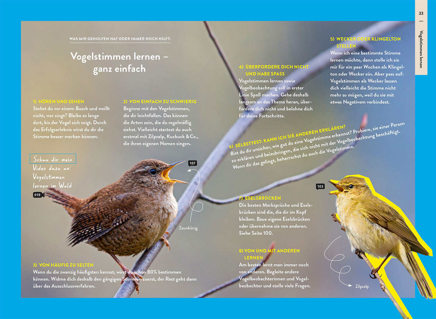 Nature Guide Birds