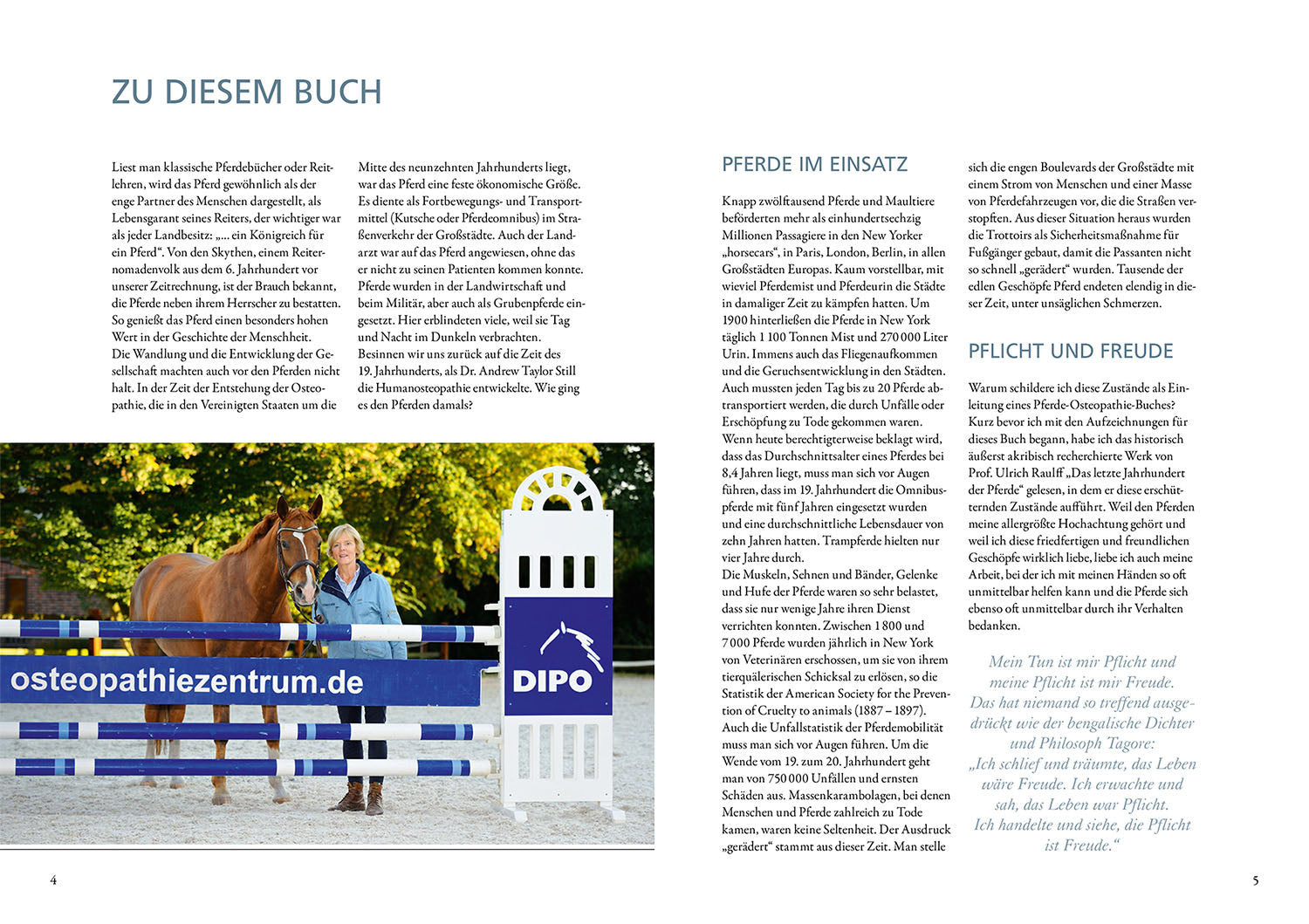 Osteopathy for Horses