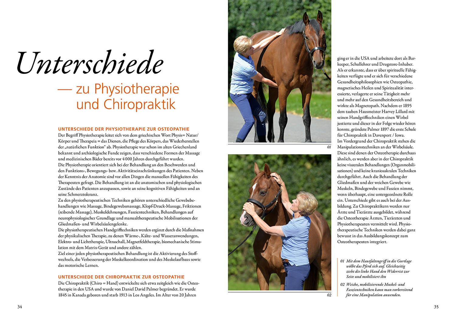 Osteopathy for Horses