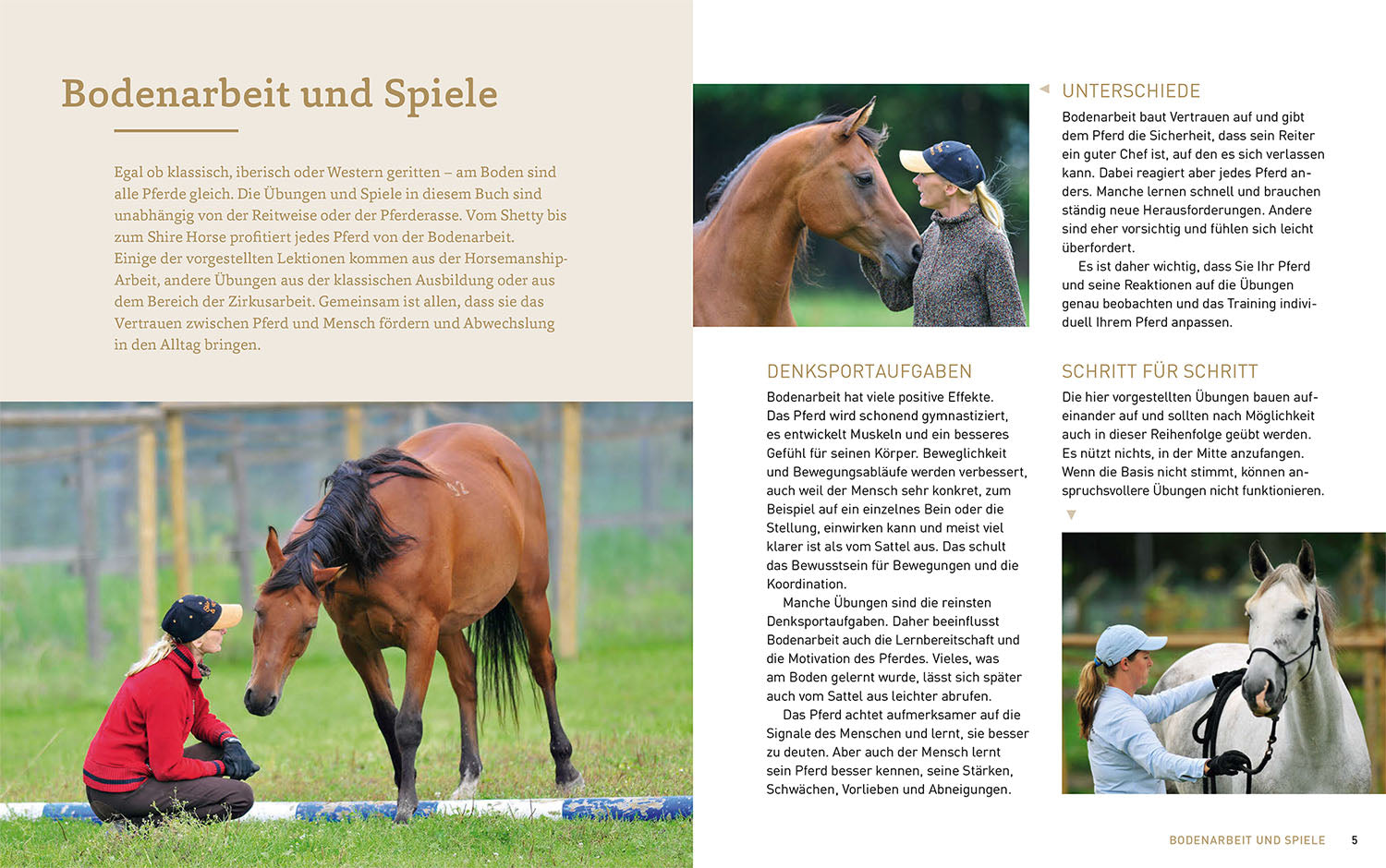 Groundwork with Horses