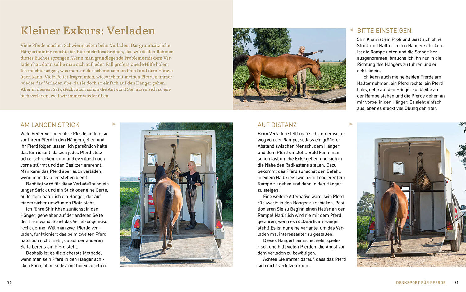Groundwork with Horses