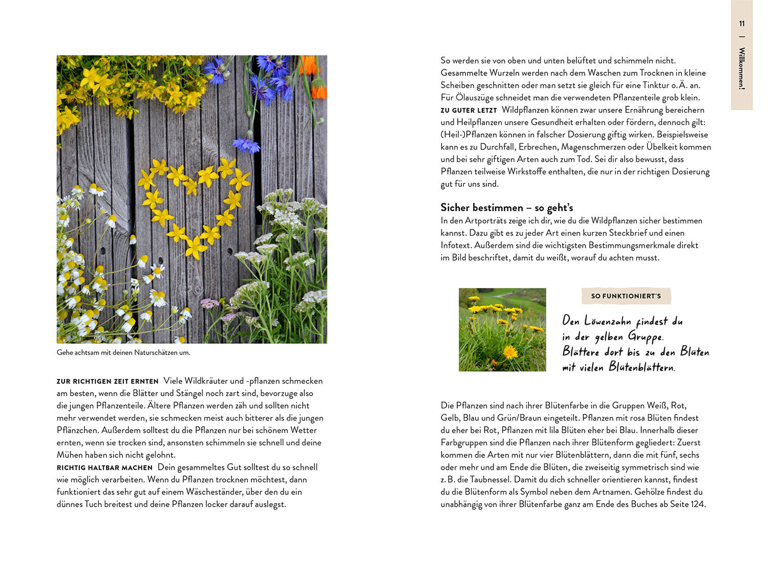 Nature Guide Wildpflanzen