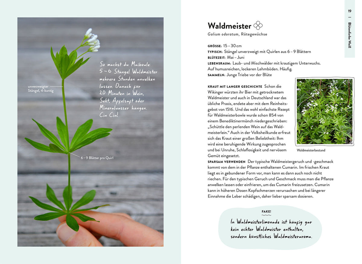 Nature Guide Wildpflanzen