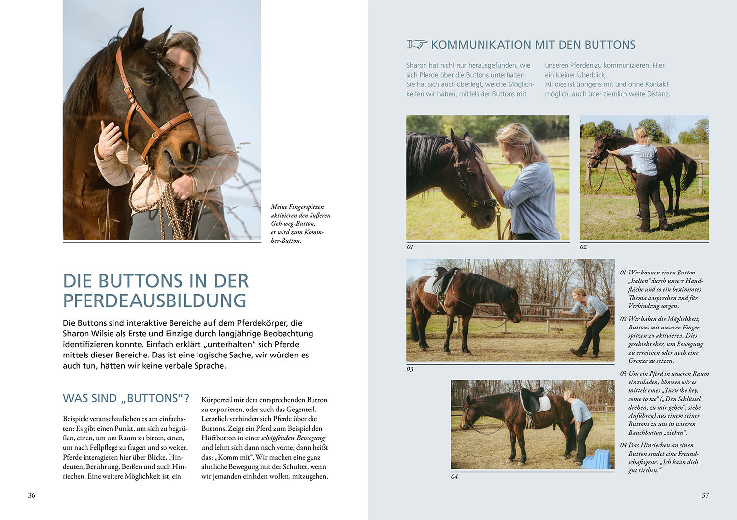 Horse Speak - Die Basis für feines Reiten