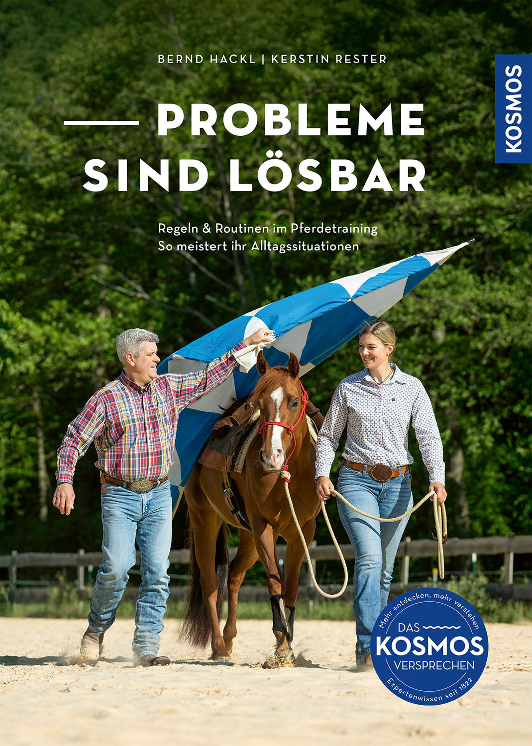 Problems are solvable