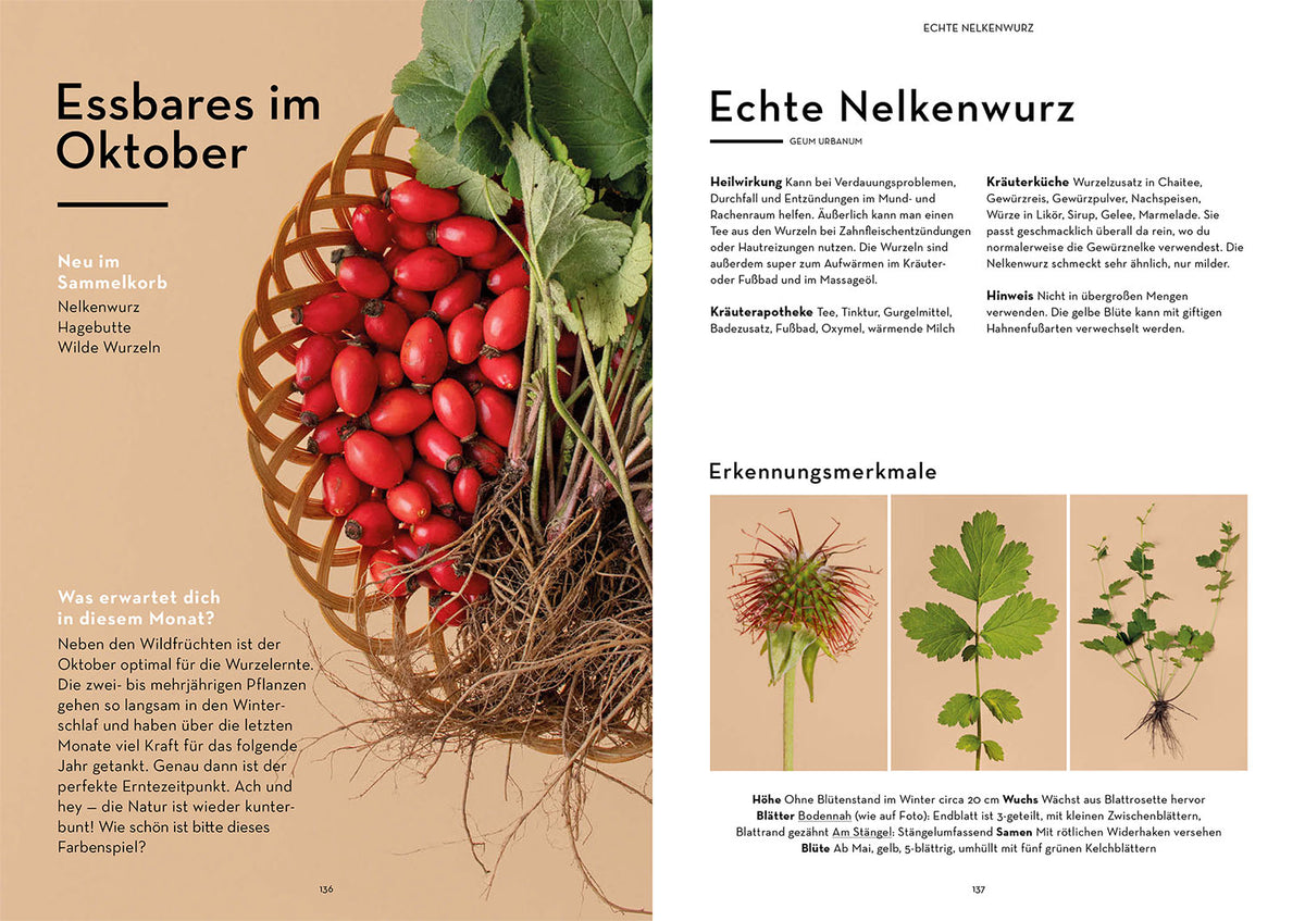 Wild durchs Jahr