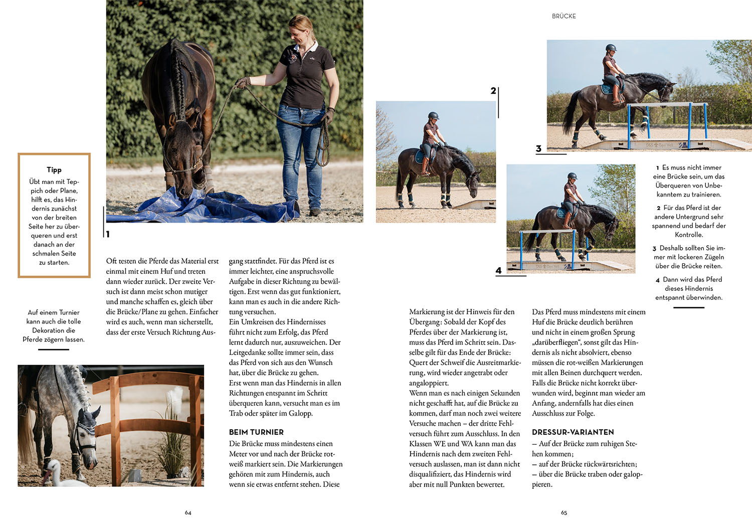 Working Equitation